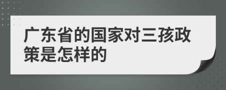 广东省的国家对三孩政策是怎样的