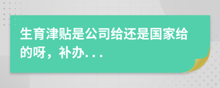 生育津贴是公司给还是国家给的呀，补办. . .
