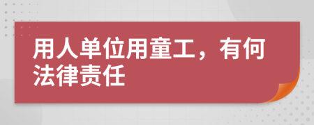 用人单位用童工，有何法律责任