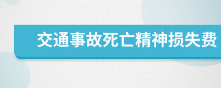 交通事故死亡精神损失费