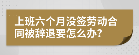 上班六个月没签劳动合同被辞退要怎么办？