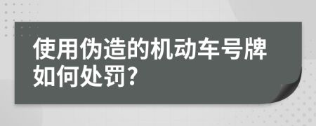 使用伪造的机动车号牌如何处罚?