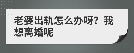 老婆出轨怎么办呀？我想离婚呢