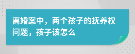 离婚案中，两个孩子的抚养权问题，孩子该怎么