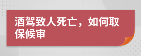 酒驾致人死亡，如何取保候审