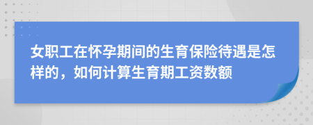 女职工在怀孕期间的生育保险待遇是怎样的，如何计算生育期工资数额