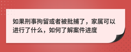 如果刑事拘留或者被批捕了，家属可以进行了什么，如何了解案件进度