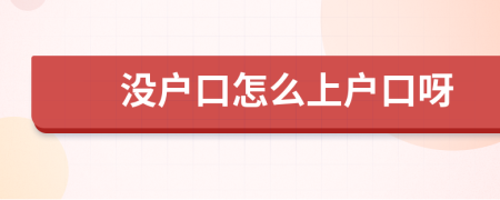 没户口怎么上户口呀