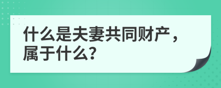 什么是夫妻共同财产，属于什么？