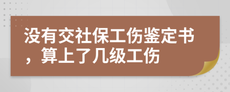 没有交社保工伤鉴定书，算上了几级工伤