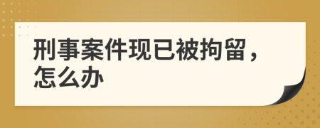 刑事案件现已被拘留，怎么办