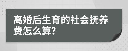 离婚后生育的社会抚养费怎么算？