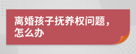 离婚孩子抚养权问题，怎么办