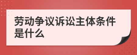 劳动争议诉讼主体条件是什么
