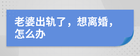 老婆出轨了，想离婚，怎么办