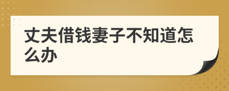 丈夫借钱妻子不知道怎么办