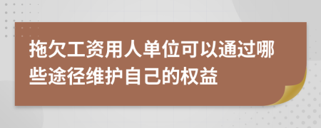 拖欠工资用人单位可以通过哪些途径维护自己的权益