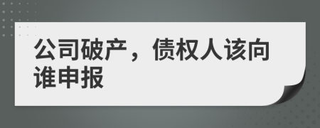 公司破产，债权人该向谁申报