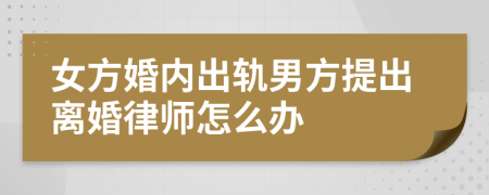 女方婚内出轨男方提出离婚律师怎么办
