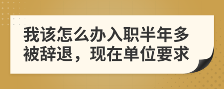 我该怎么办入职半年多被辞退，现在单位要求