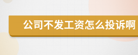 公司不发工资怎么投诉啊