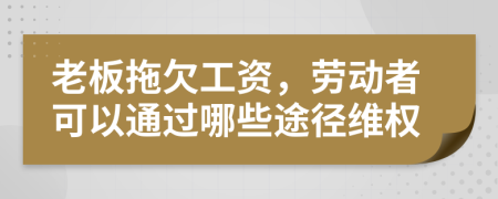 老板拖欠工资，劳动者可以通过哪些途径维权