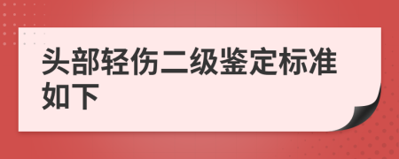 头部轻伤二级鉴定标准如下