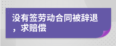 没有签劳动合同被辞退，求赔偿