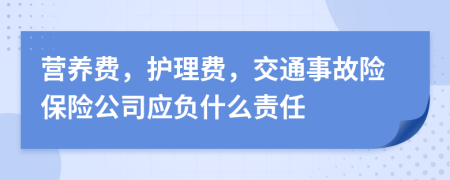 营养费，护理费，交通事故险保险公司应负什么责任