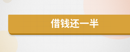 借钱还一半