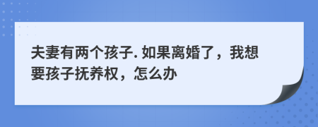 夫妻有两个孩子. 如果离婚了，我想要孩子抚养权，怎么办