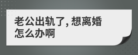 老公出轨了, 想离婚怎么办啊