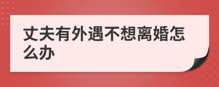 丈夫有外遇不想离婚怎么办