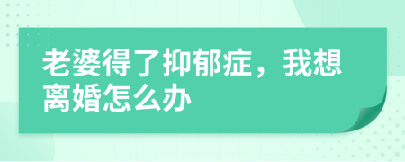 老婆得了抑郁症，我想离婚怎么办