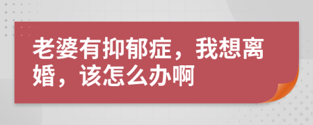 老婆有抑郁症，我想离婚，该怎么办啊
