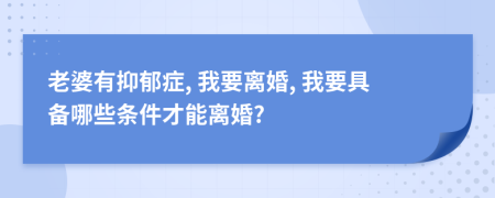 老婆有抑郁症, 我要离婚, 我要具备哪些条件才能离婚?