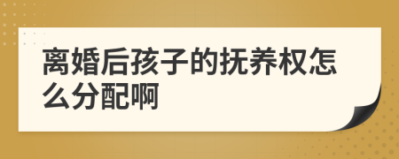 离婚后孩子的抚养权怎么分配啊