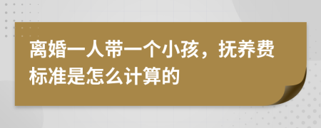 离婚一人带一个小孩，抚养费标准是怎么计算的