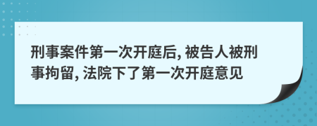 刑事案件第一次开庭后, 被告人被刑事拘留, 法院下了第一次开庭意见