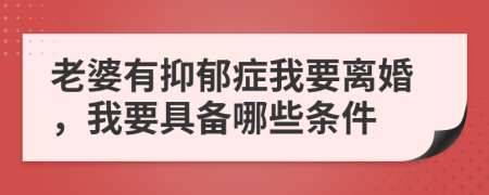 老婆有抑郁症我要离婚，我要具备哪些条件