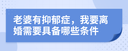 老婆有抑郁症，我要离婚需要具备哪些条件