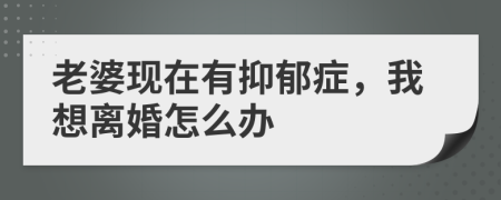 老婆现在有抑郁症，我想离婚怎么办