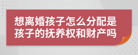 想离婚孩子怎么分配是孩子的抚养权和财产吗