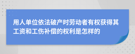 用人单位依法破产时劳动者有权获得其工资和工伤补偿的权利是怎样的