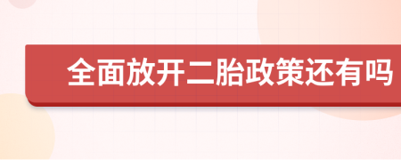 全面放开二胎政策还有吗