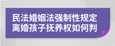 民法婚姻法强制性规定离婚孩子抚养权如何判