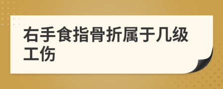 右手食指骨折属于几级工伤