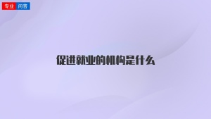 促进就业的机构是什么