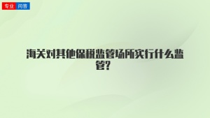 海关对其他保税监管场所实行什么监管?