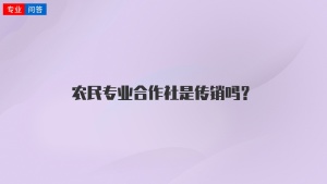 农民专业合作社是传销吗？